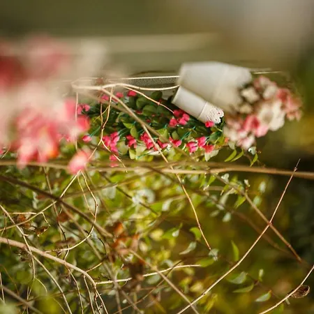 Cenka Ephesus Frühstückspension